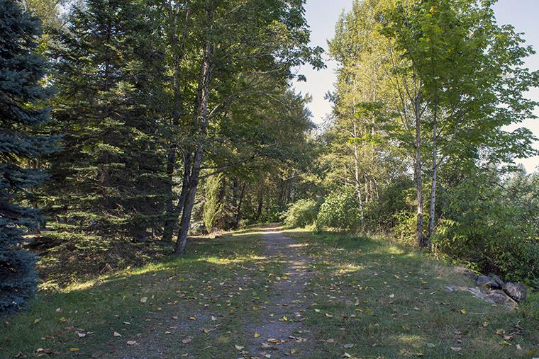 The trail along the Vedder River right beside the campground